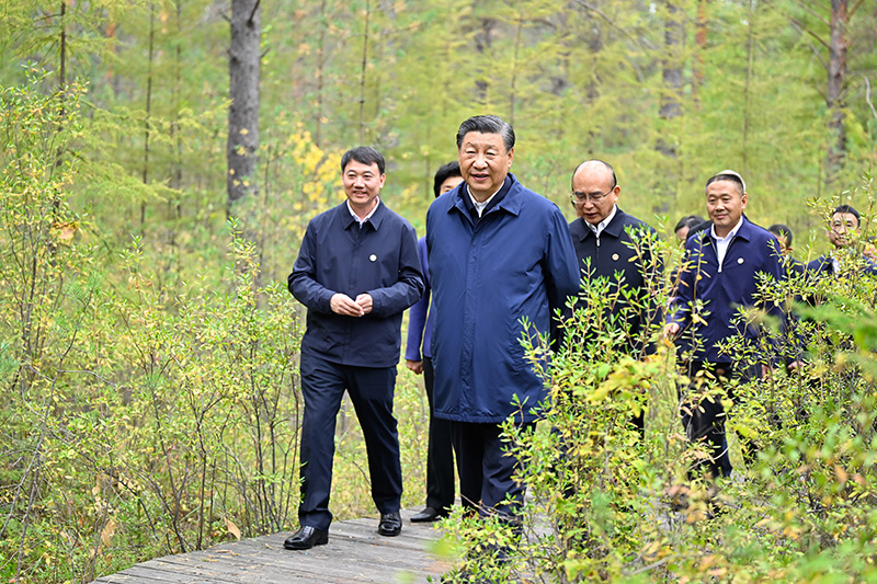 9月6日至8日，中共中央总书记、国家主席、中央军委主席习近平在黑龙江考察。这是6日下午，习近平在大兴安岭地区漠河市漠河林场自然林区考察